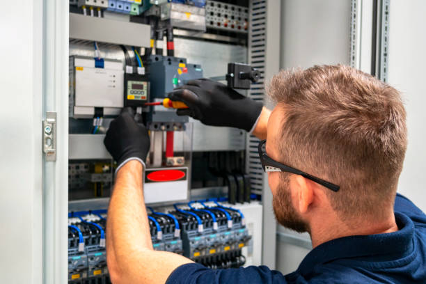 Best Electric Panel Repair  in Chackbay, LA
